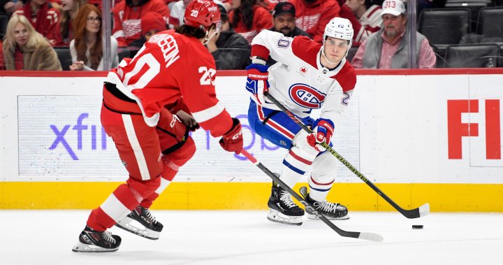 Canadiens Fall Short: Red Wings Dominate Shots On Goal