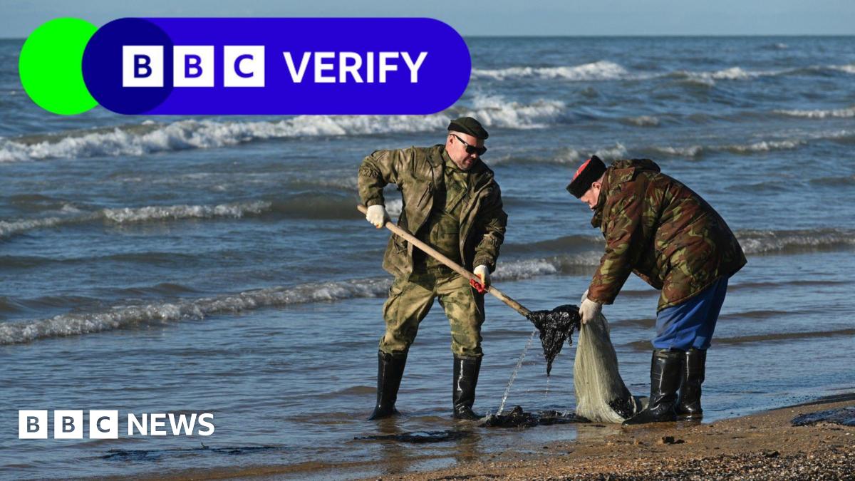 Ecological Crisis In Kerch Strait: Russia Faces Oil Spill Aftermath