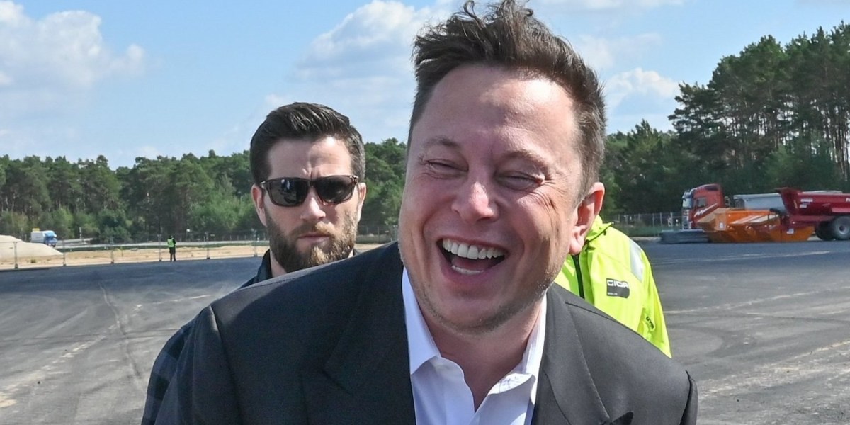 Elon Musk Taunts Germany: Greenwashing Crackdown On Fraud Begins