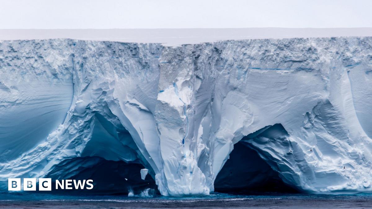 Giant Iceberg Threatens Island: Penguins And Seals Face Peril