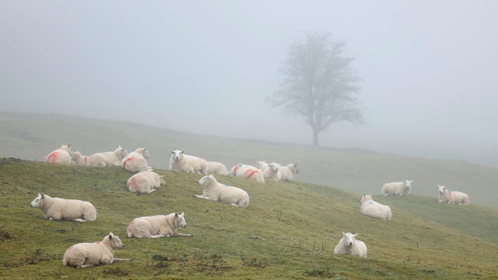 Ierland Voorbereid Op Zware Storm Éowyn: Rampenplannen Geactiveerd