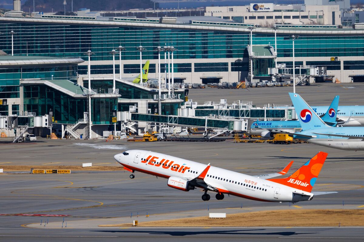 Impact Of Jeju Air Crash: South Korean Budget Airlines Cut Hours