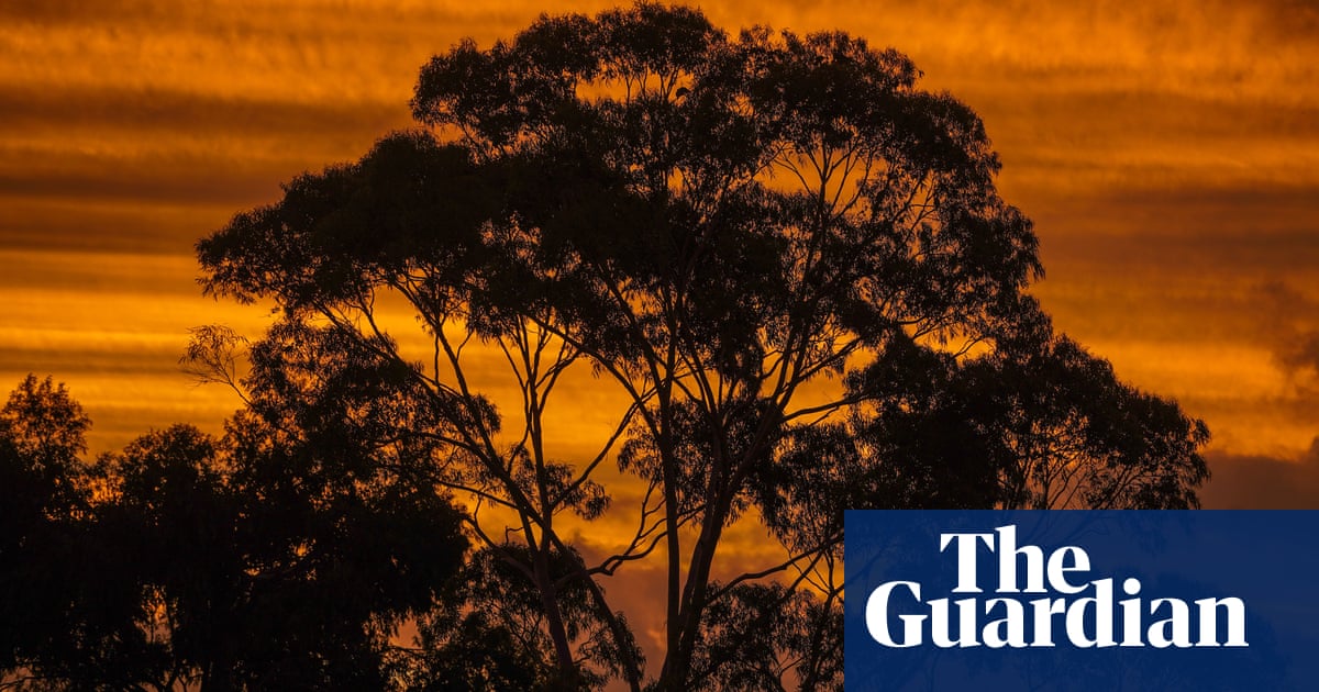 Wild Storm Pummels Perth: Widespread Power Outages Hit Tens Of Thousands